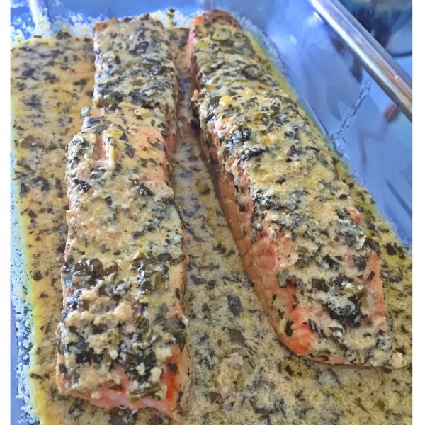 10950444_719647451474083_1009153700_n